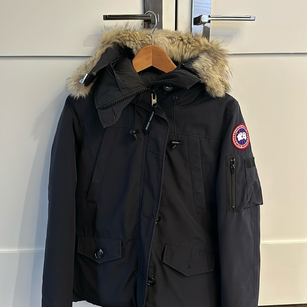 Canada goose